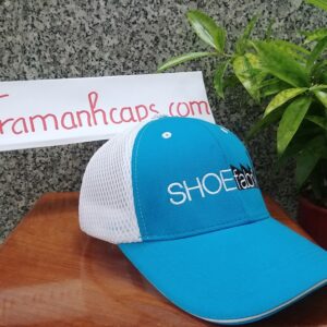 Shoe Brik Cap